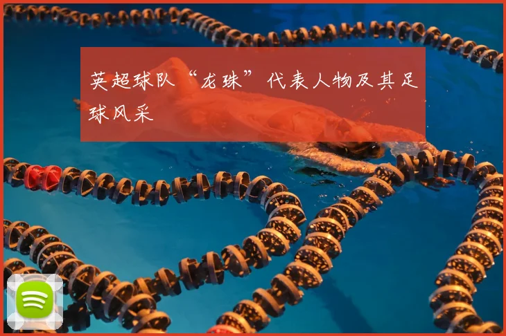 英超球队“龙珠”代表人物及其足球风采